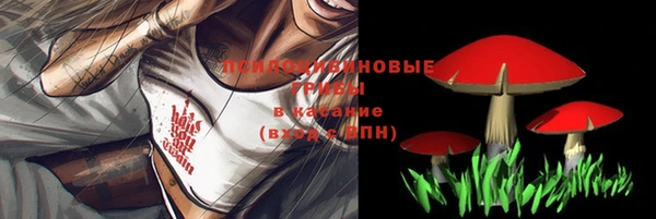 mix Алексин
