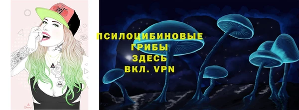 mix Алексин