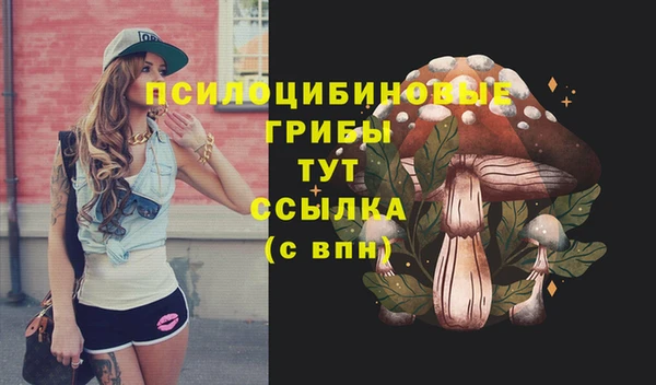 mix Алексин