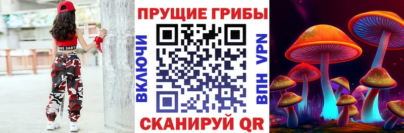 даркнет сайт  Тосно  Галлюциногенные грибы прущие грибы 
