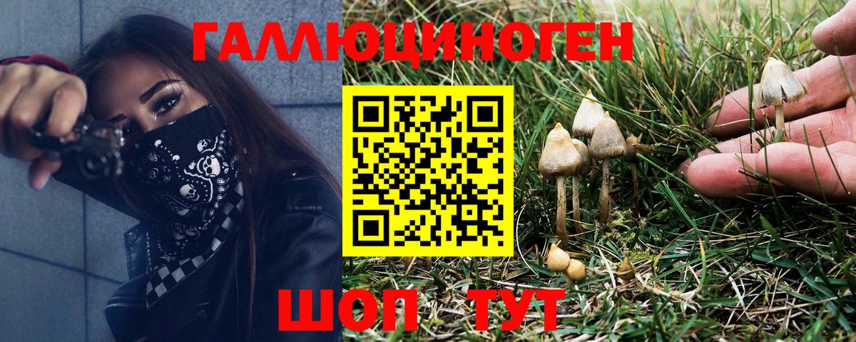 ЭКСТАЗИ  Гашиш  Гашиш  Бошки Шишки  A-PVP СОЛЬ   Тосно  Мефедрон кристаллы  Вход с VPN 
